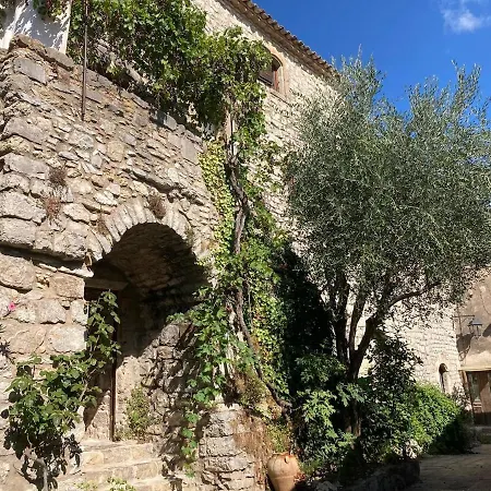 Charming House And
